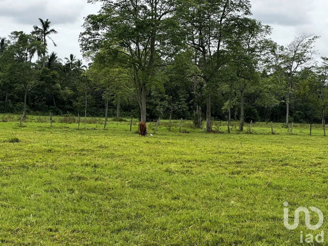 Terreno en Venta en Norte 2a Secc, Comalcalco, Tabasco | NEX-278490 | iad México | Foto 1 de 5