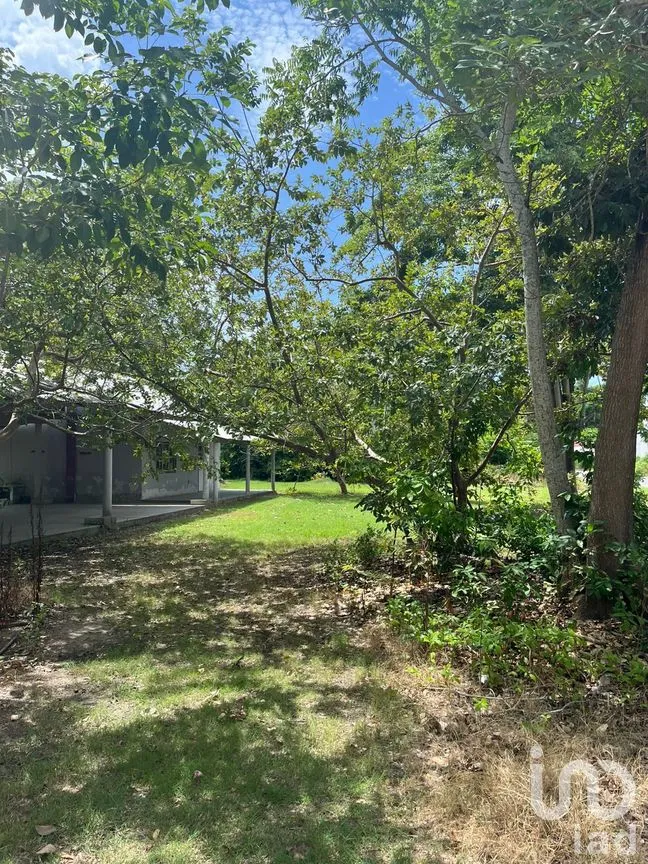 Terreno en Venta en Quintín Arauz, Paraíso, Tabasco | NEX-278495 | iad México | Foto 12 de 18