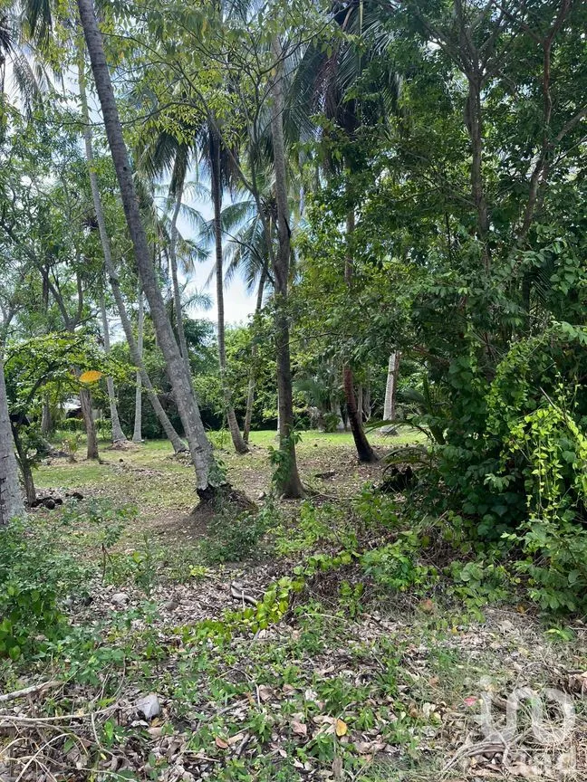 Terreno en Venta en Quintín Arauz, Paraíso, Tabasco | NEX-278495 | iad México | Foto 13 de 18