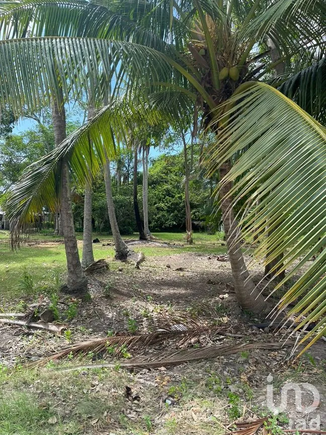 Terreno en Venta en Quintín Arauz, Paraíso, Tabasco | NEX-278495 | iad México | Foto 14 de 18