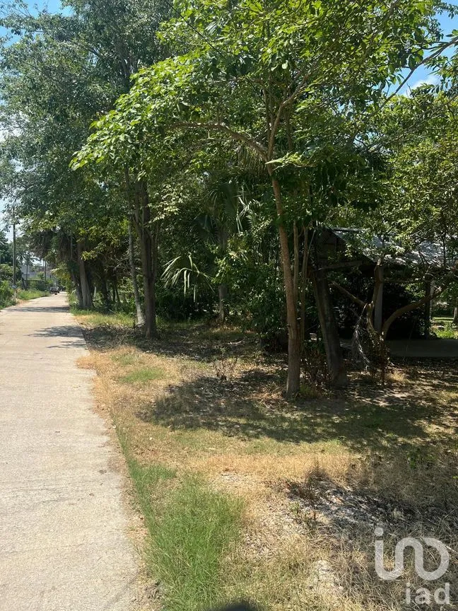 Terreno en Venta en Quintín Arauz, Paraíso, Tabasco | NEX-278495 | iad México | Foto 16 de 18
