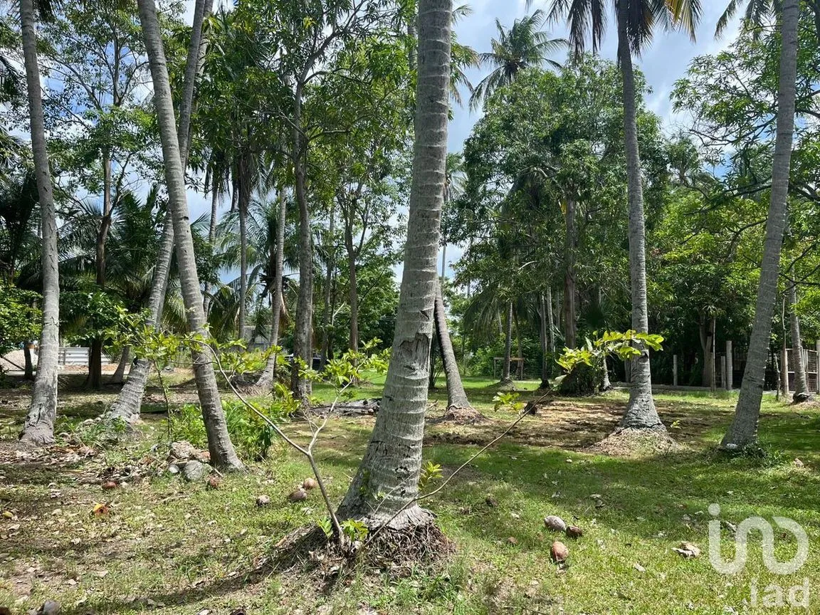 Terreno en Venta en Quintín Arauz, Paraíso, Tabasco | NEX-278495 | iad México | Foto 5 de 18