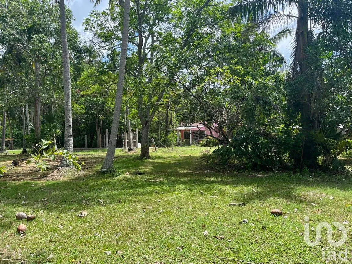 Terreno en Venta en Quintín Arauz, Paraíso, Tabasco | NEX-278495 | iad México | Foto 1 de 18