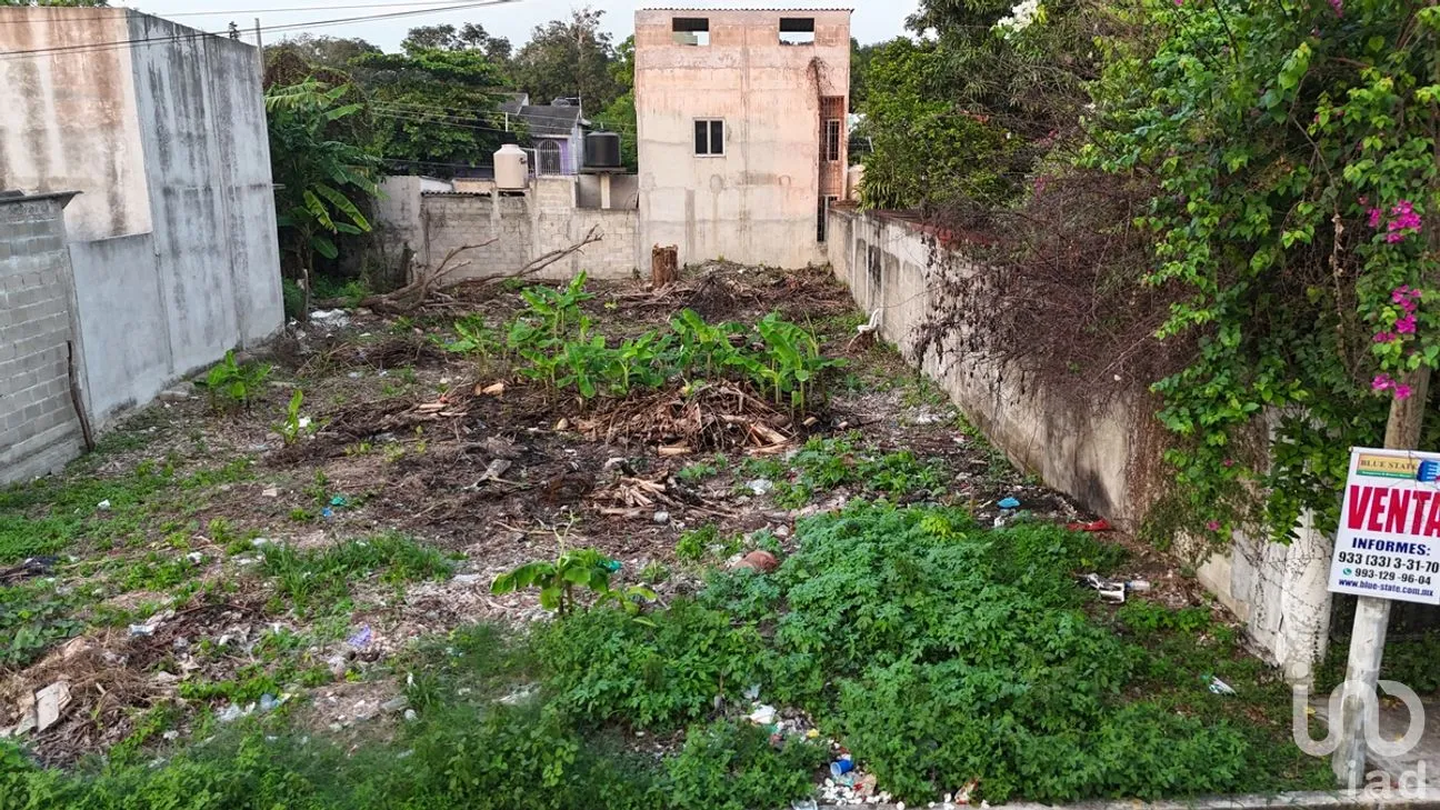 Terreno en Venta en Primavera, Paraíso, Tabasco | NEX-282038 | iad México | Foto 4 de 9