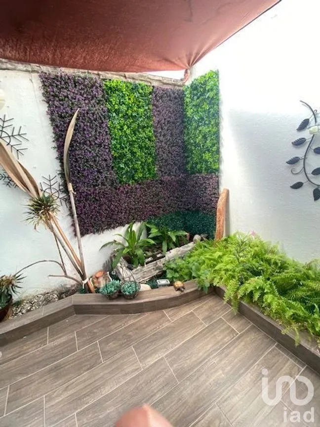 Casa en Renta en Blancas Mariposas, Paraíso, Tabasco | NEX-284783 | iad México | Foto 11 de 13