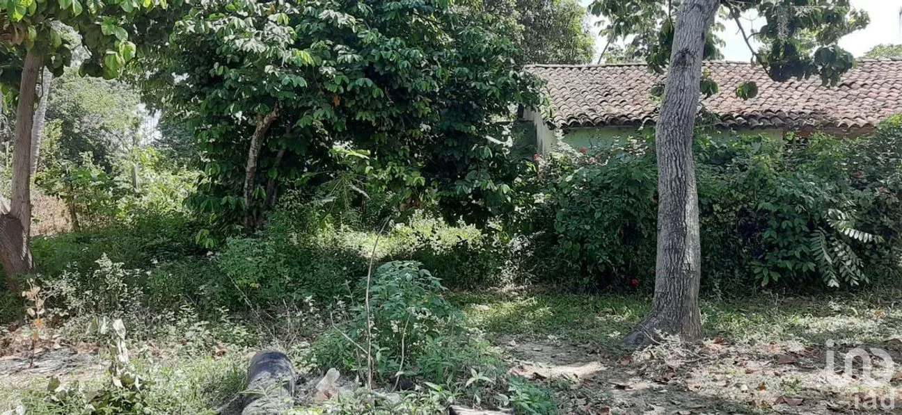 Terreno en Renta en El Limón, Paraíso, Tabasco | NEX-284795 | iad México | Foto 4 de 7