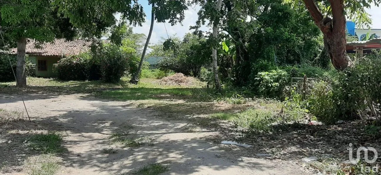 Terreno en Renta en El Limón, Paraíso, Tabasco | NEX-284795 | iad México | Foto 6 de 7