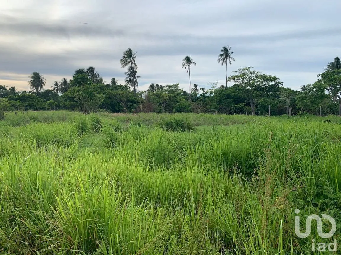 Terreno en Venta en Pénjamo, Paraíso, Tabasco | NEX-284798 | iad México | Foto 3 de 7