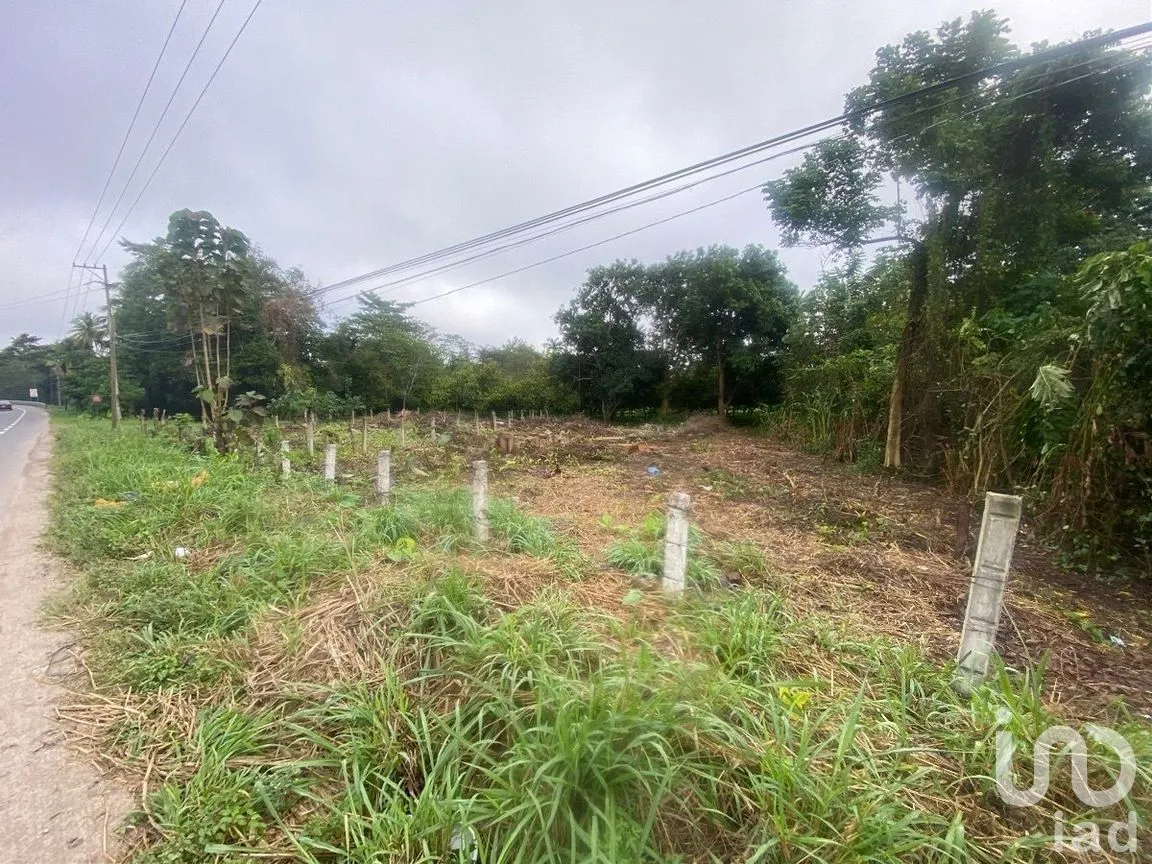 Terreno en Renta en Oriente 1a Sección, Paraíso, Tabasco | NEX-284799 | iad México | Foto 3 de 6