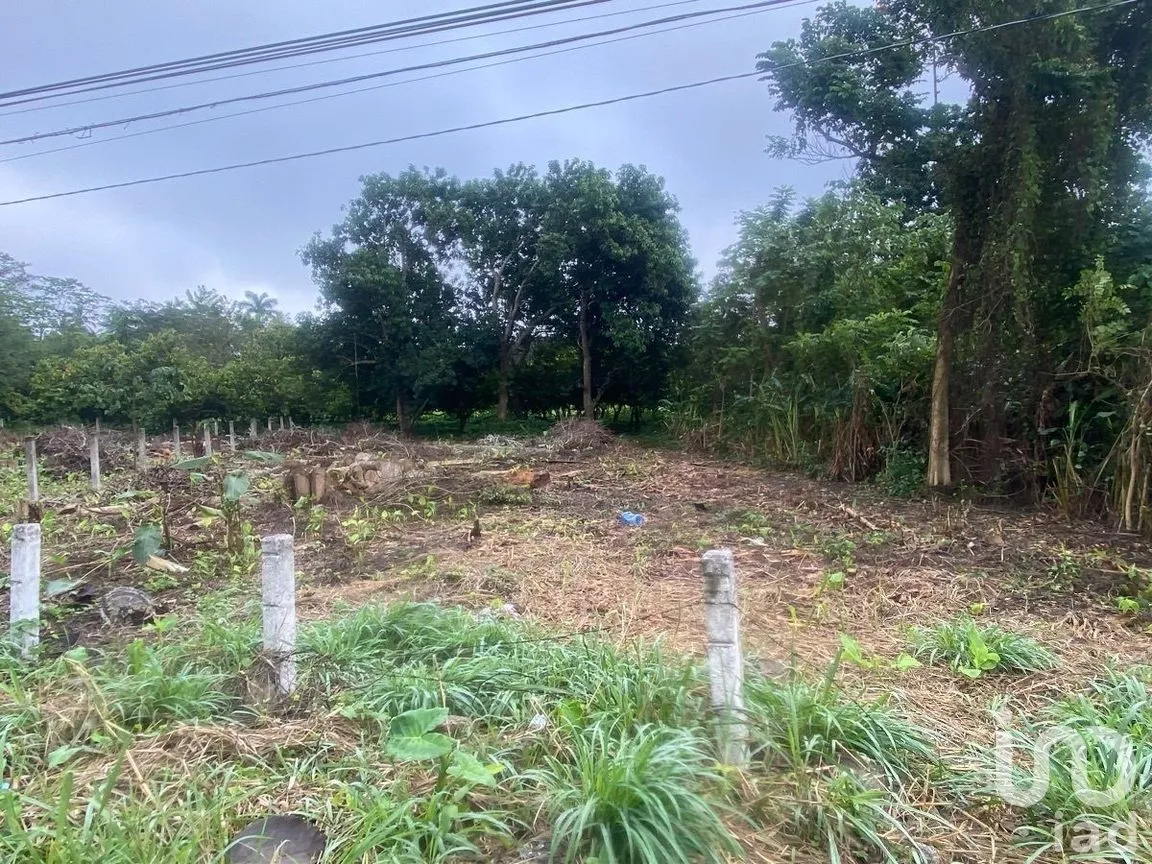 Terreno en Renta en Oriente 1a Sección, Paraíso, Tabasco | NEX-284799 | iad México | Foto 4 de 6