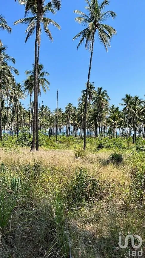 Terreno en Venta en La Unión 2a Secc, Paraíso, Tabasco | NEX-284808 | iad México | Foto 1 de 6