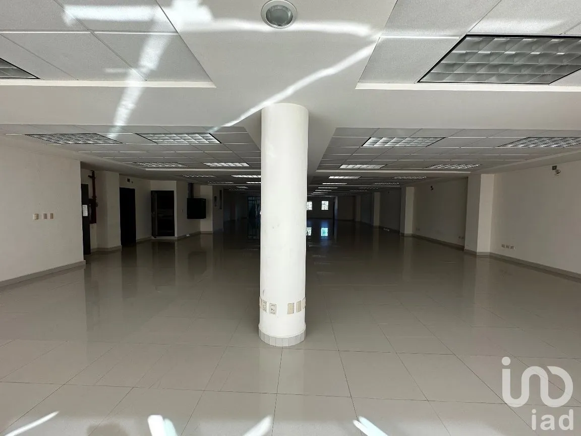 Oficina en Renta en La Ceiba, Paraíso, Tabasco | NEX-284809 | iad México | Foto 17 de 19