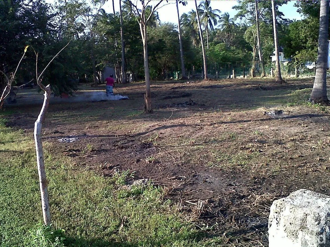 Terreno en Renta en Ceiba Puerto, Paraíso, Tabasco | NEX-284814 | iad México | Foto 3 de 6