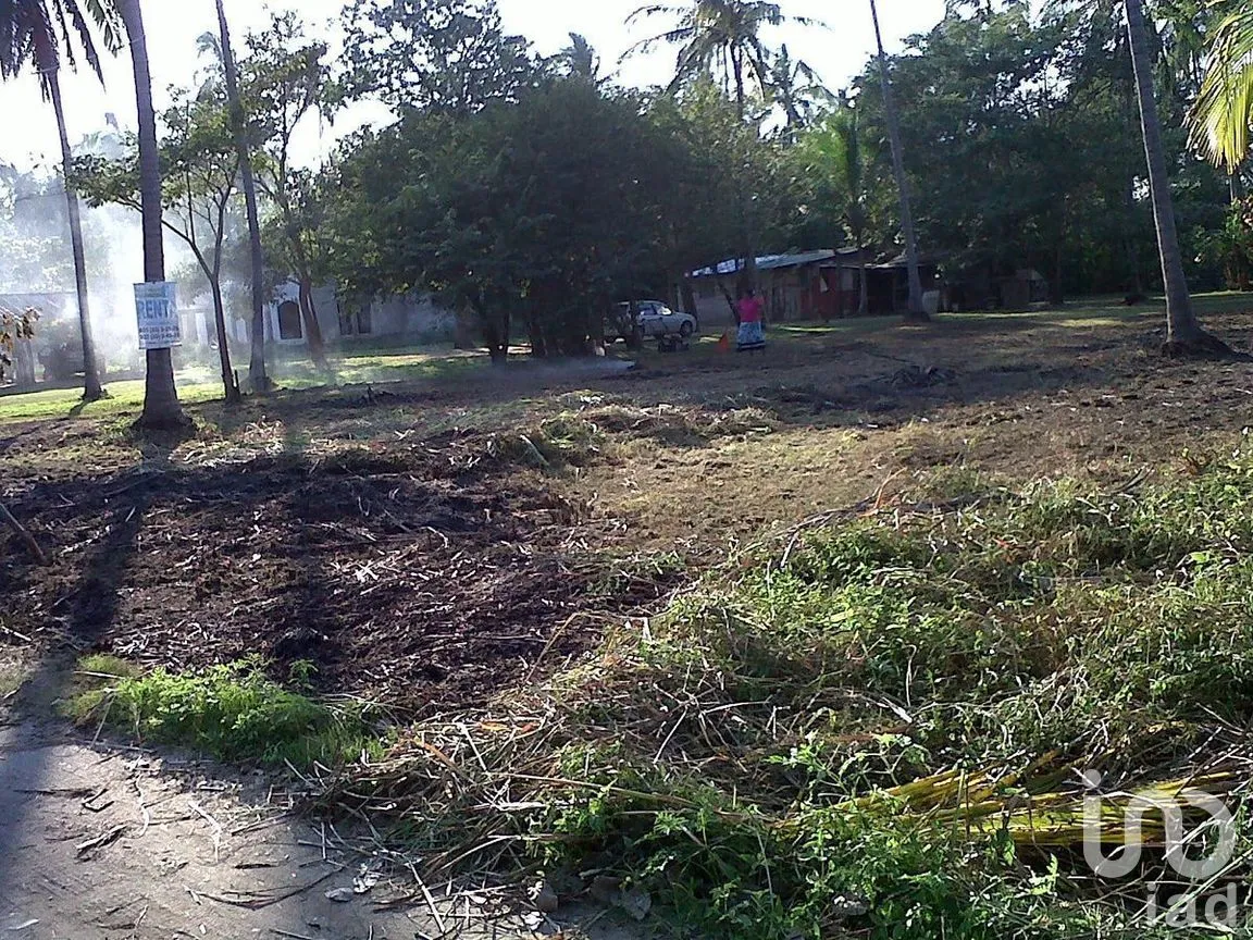 Terreno en Renta en Ceiba Puerto, Paraíso, Tabasco | NEX-284814 | iad México | Foto 4 de 6