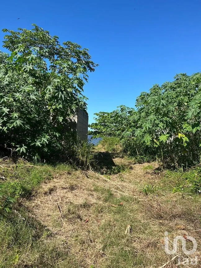 Terreno en Venta en El Bellote (Miguel de la Madrid), Paraíso, Tabasco | NEX-290379 | iad México | Foto 5 de 6