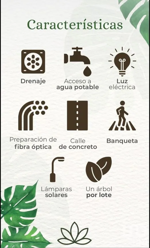 Terreno en Venta en Quintín Arauz, Paraíso, Tabasco | NEX-290606 | iad México | Foto 8 de 9