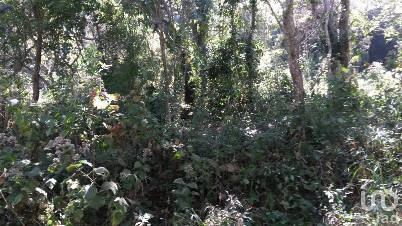 Terreno en Venta en Matumatza, Tuxtla Gutiérrez, Chiapas
