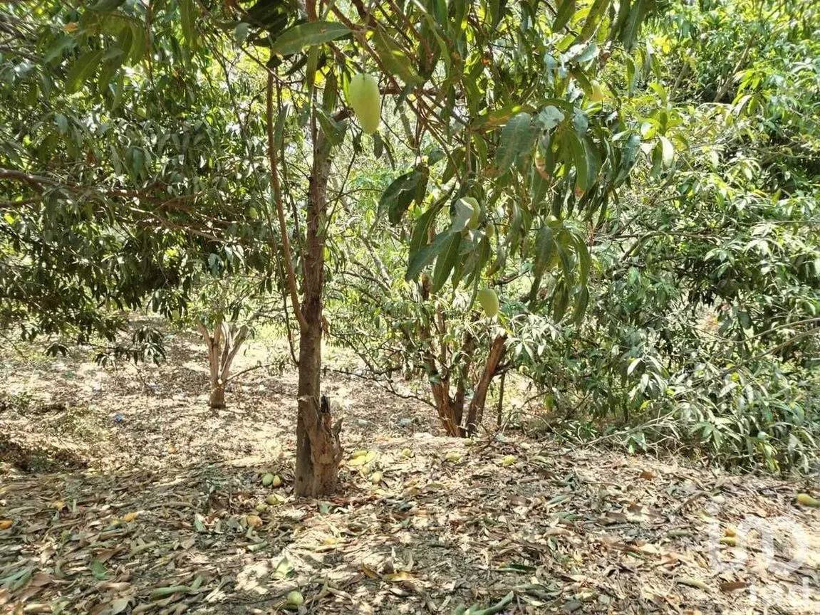 Terreno en Venta en Nandambua 1a Sección, Chiapa de Corzo, Chiapas | NEX-226924 | iad México | Foto 11 de 15