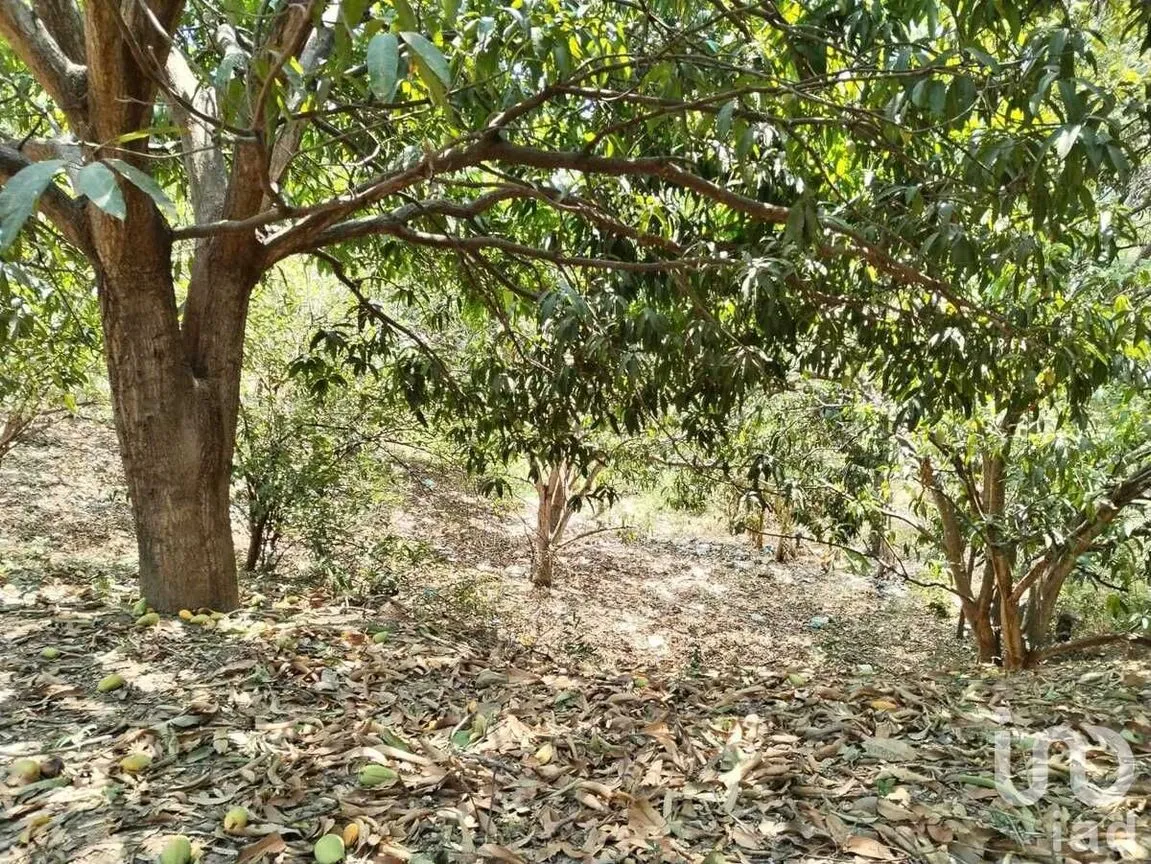 Terreno en Venta en Nandambua 1a Sección, Chiapa de Corzo, Chiapas | NEX-226924 | iad México | Foto 12 de 15