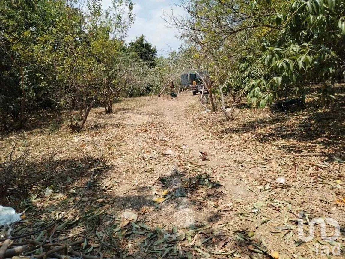 Terreno en Venta en Nandambua 1a Sección, Chiapa de Corzo, Chiapas | NEX-226924 | iad México | Foto 14 de 15