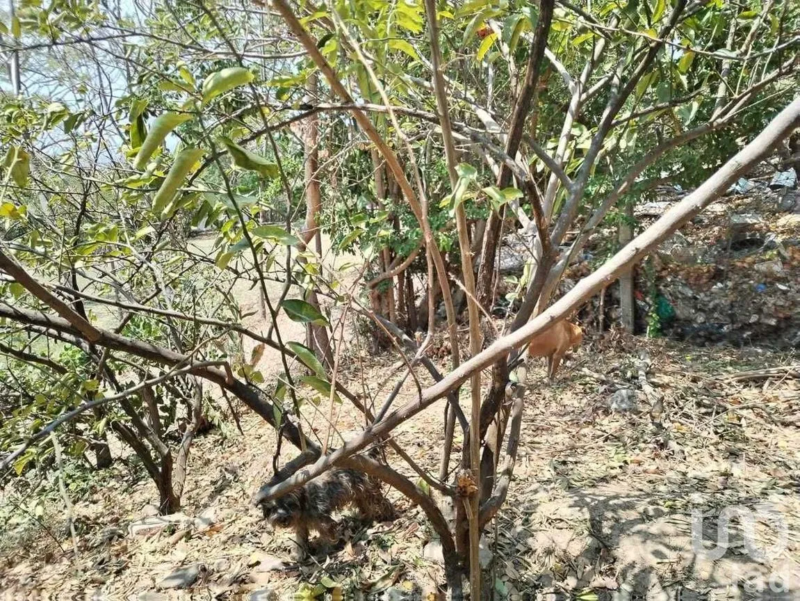 Terreno en Venta en Nandambua 1a Sección, Chiapa de Corzo, Chiapas | NEX-226924 | iad México | Foto 7 de 15