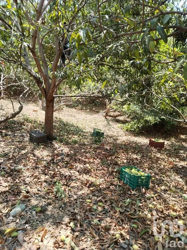 Terreno en Venta en Nandambua 1a Sección, Chiapa de Corzo, Chiapas | NEX-226924 | iad México | Foto 8 de 15
