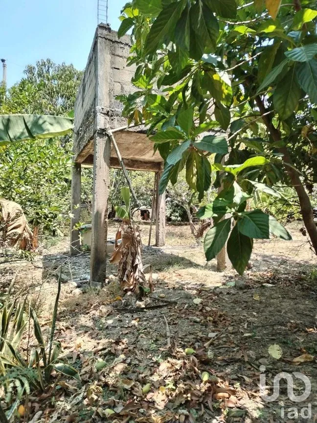 Terreno en Venta en Nandambua 1a Sección, Chiapa de Corzo, Chiapas | NEX-226924 | iad México | Foto 10 de 15