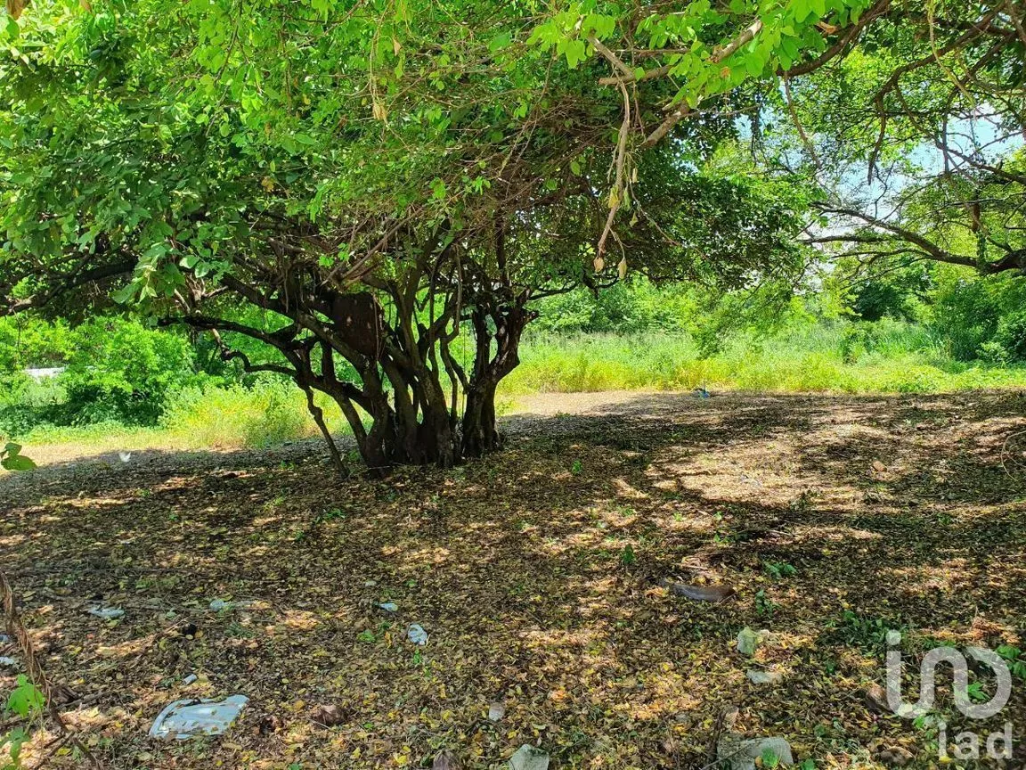 Terreno en Venta en Puerto Arista, Tonalá, Chiapas | NEX-228274 | iad México | Foto 5 de 12