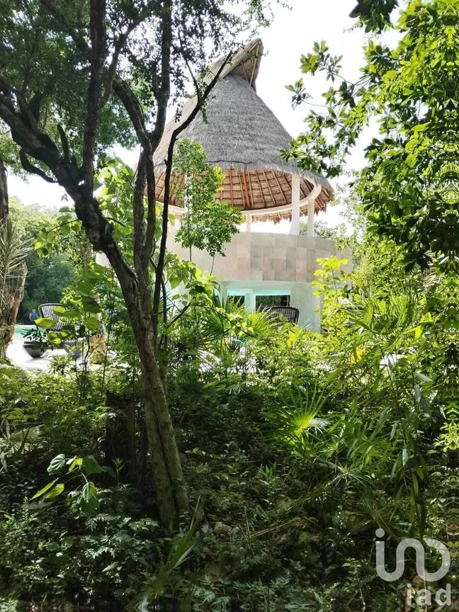 Terreno en Venta en Puerto Morelos, Puerto Morelos, Quintana Roo | NEX-230813 | iad México | Foto 7 de 15