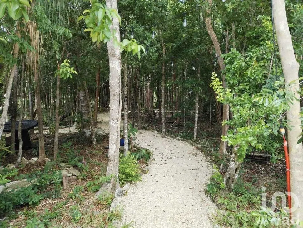 Terreno en Venta en Puerto Morelos, Puerto Morelos, Quintana Roo | NEX-230813 | iad México | Foto 9 de 15