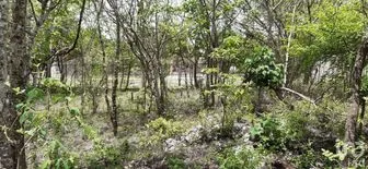 NEX-267138 - Terreno en Venta en Santa Inés, CP 29130, Chiapas.