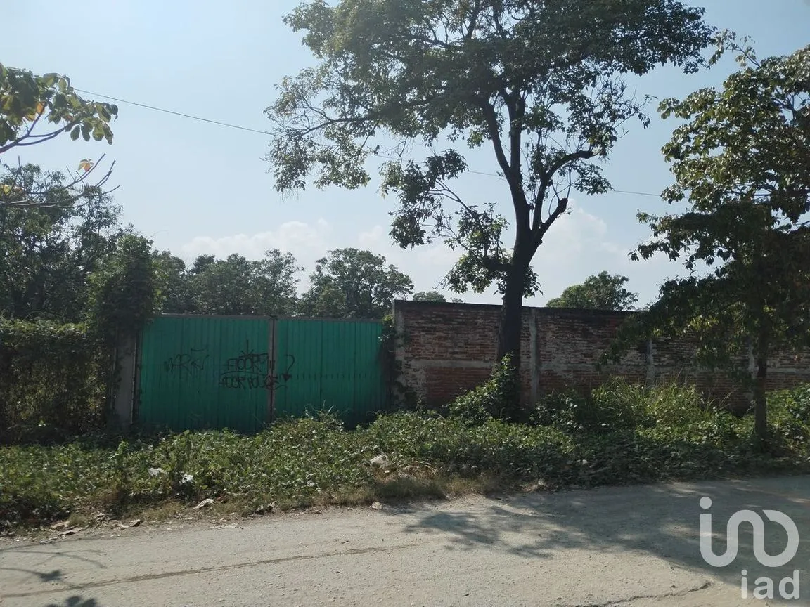 Terreno en Renta en Tuxtla Gutiérrez Centro, Tuxtla Gutiérrez, Chiapas | NEX-267144 | iad México | Foto 5 de 7