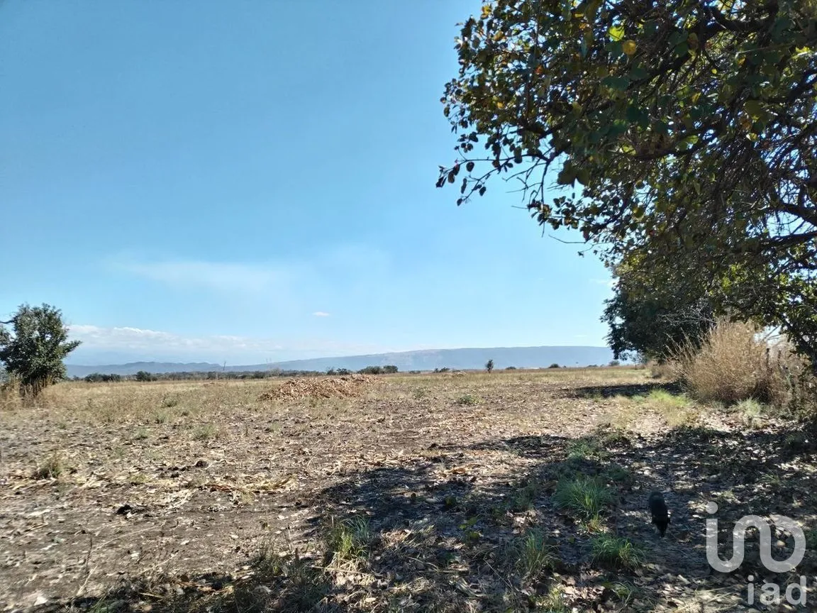 Terreno en Venta en Emiliano Zapata I, Chiapa de Corzo, Chiapas | NEX-267146 | iad México | Foto 2 de 5