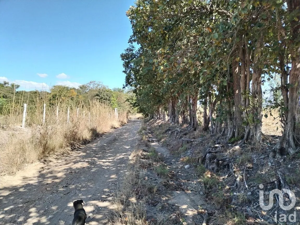 Terreno en Venta en Emiliano Zapata I, Chiapa de Corzo, Chiapas | NEX-267146 | iad México | Foto 4 de 5