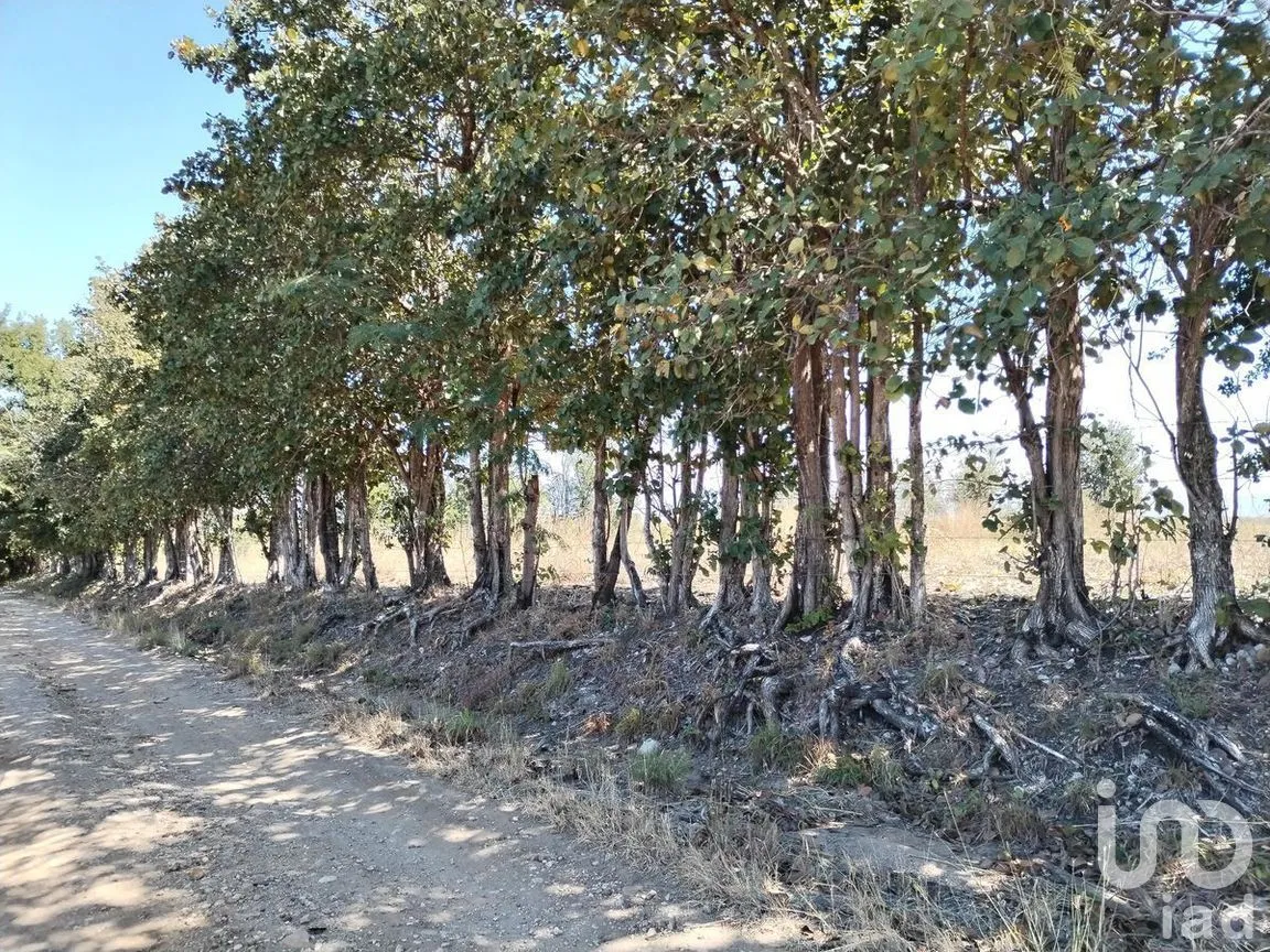 Terreno en Venta en Emiliano Zapata I, Chiapa de Corzo, Chiapas | NEX-267146 | iad México | Foto 5 de 5