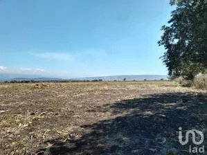 NEX-267146 - Terreno en Venta en Emiliano Zapata I, CP 29160, Chiapas.
