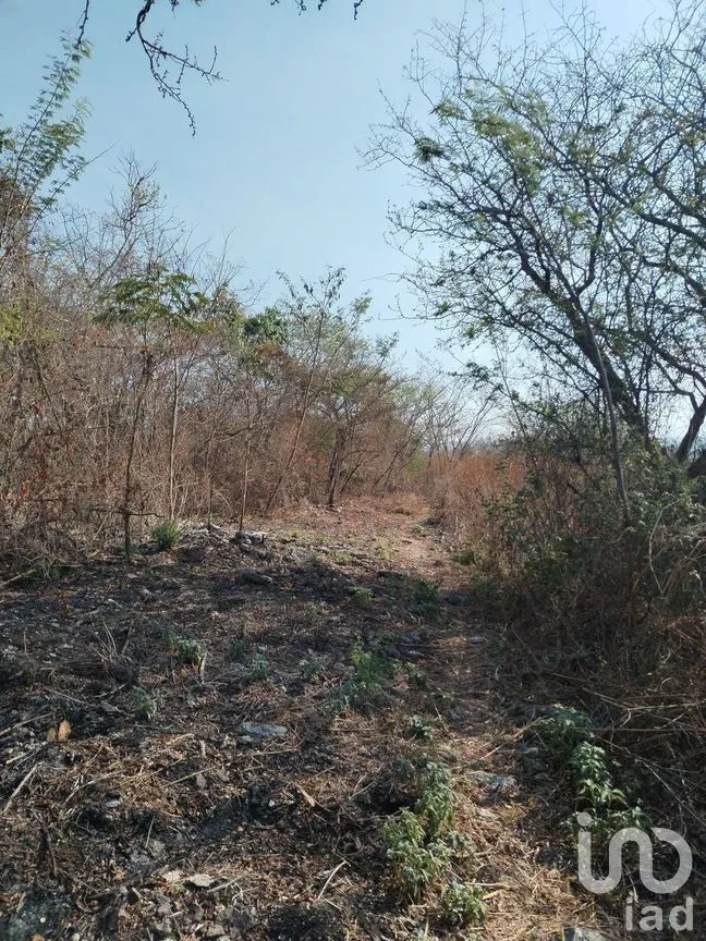 Terreno en Venta en Campestre Arenal, Tuxtla Gutiérrez, Chiapas | NEX-267147 | iad México | Foto 3 de 6