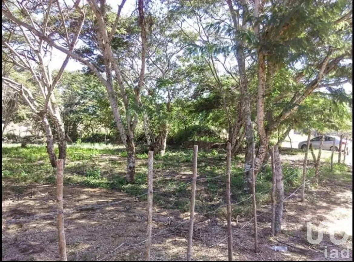 Terreno en Venta en Viva Cárdenas, San Fernando, Chiapas | NEX-267156 | iad México | Foto 2 de 8