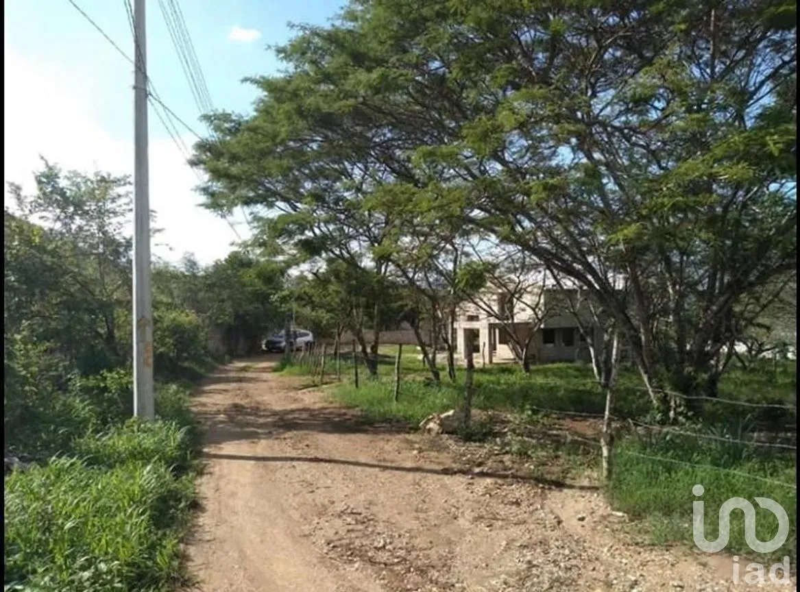 Terreno en Venta en Viva Cárdenas, San Fernando, Chiapas | NEX-267156 | iad México | Foto 3 de 8