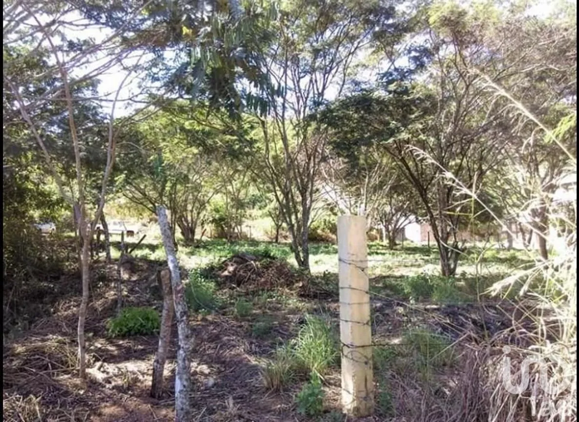 Terreno en Venta en Viva Cárdenas, San Fernando, Chiapas | NEX-267156 | iad México | Foto 6 de 8