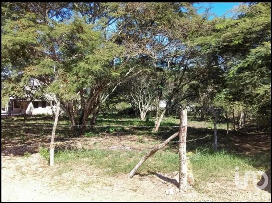 Terreno en Venta en Viva Cárdenas, San Fernando, Chiapas | NEX-267156 | iad México | Foto 7 de 8