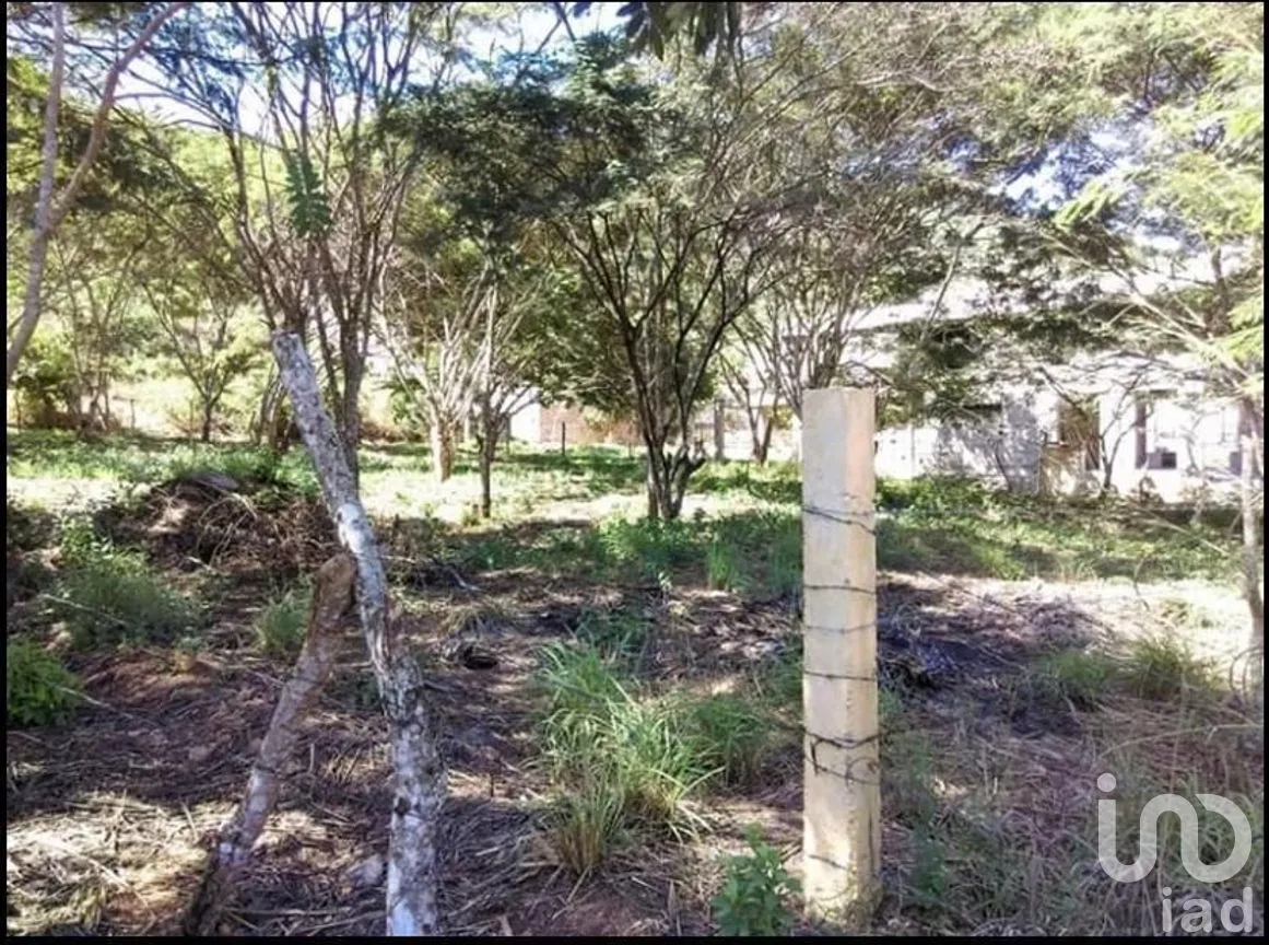 Terreno en Venta en Viva Cárdenas, San Fernando, Chiapas | NEX-267156 | iad México | Foto 8 de 8