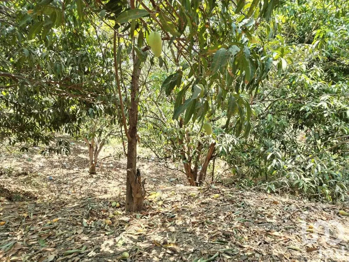 Terreno en Venta en Nandambua 1a Sección, Chiapa de Corzo, Chiapas | NEX-267159 | iad México | Foto 11 de 15