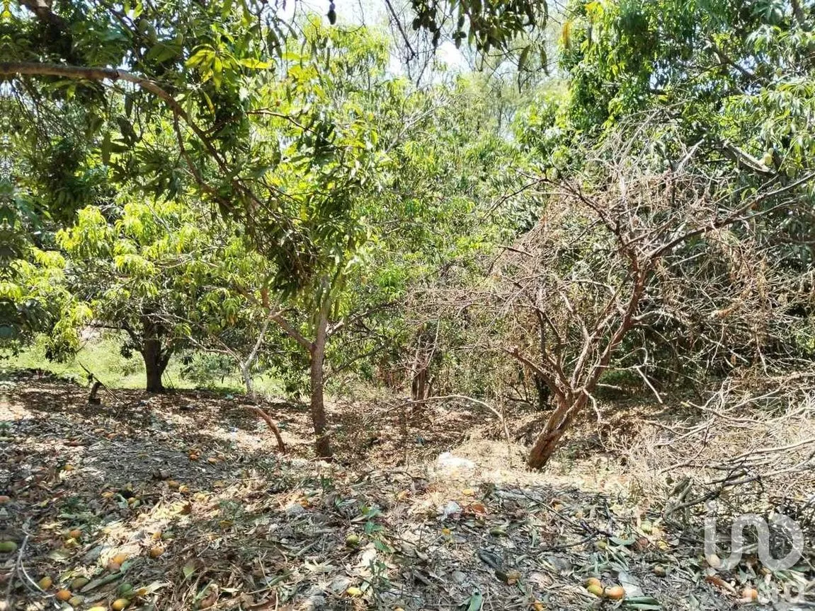 Terreno en Venta en Nandambua 1a Sección, Chiapa de Corzo, Chiapas | NEX-267159 | iad México | Foto 13 de 15