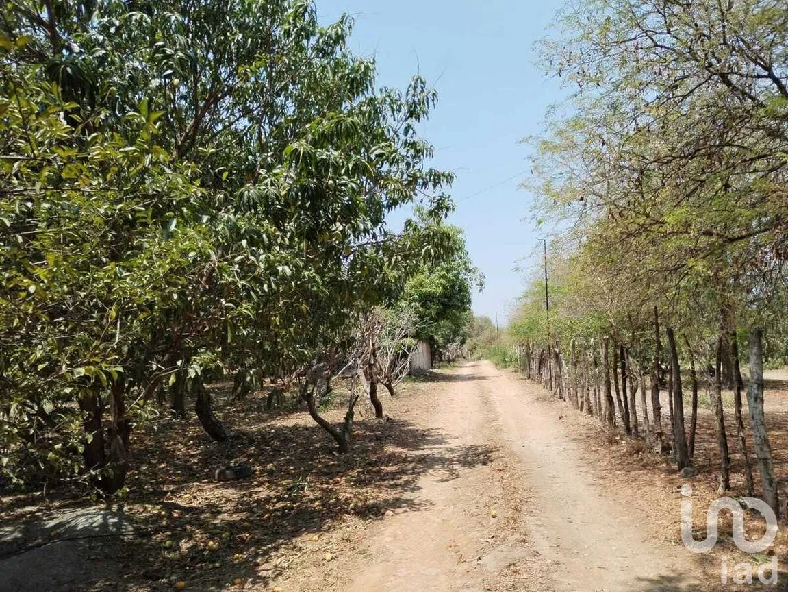 Terreno en Venta en Nandambua 1a Sección, Chiapa de Corzo, Chiapas | NEX-267159 | iad México | Foto 4 de 15