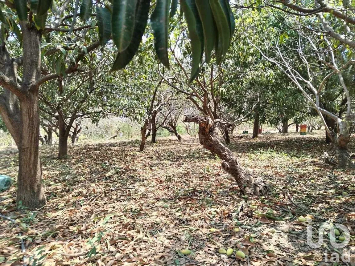 Terreno en Venta en Nandambua 1a Sección, Chiapa de Corzo, Chiapas | NEX-267159 | iad México | Foto 6 de 15