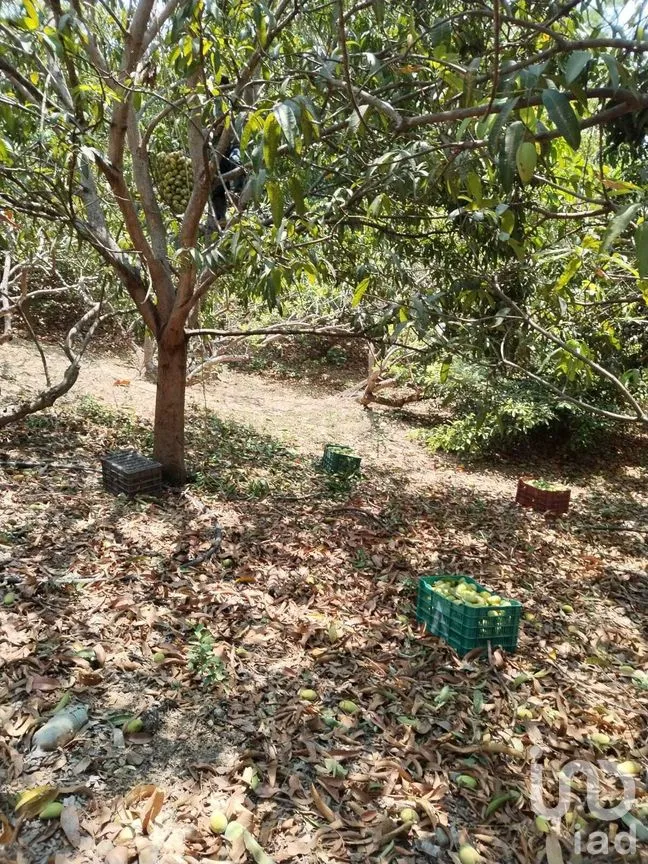 Terreno en Venta en Nandambua 1a Sección, Chiapa de Corzo, Chiapas | NEX-267159 | iad México | Foto 8 de 15