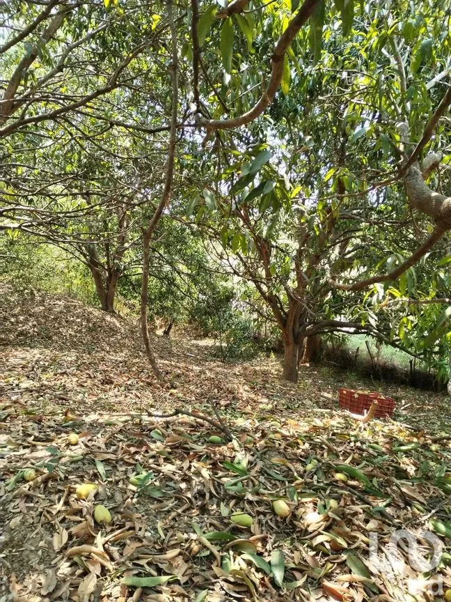 Terreno en Venta en Nandambua 1a Sección, Chiapa de Corzo, Chiapas | NEX-267159 | iad México | Foto 9 de 15
