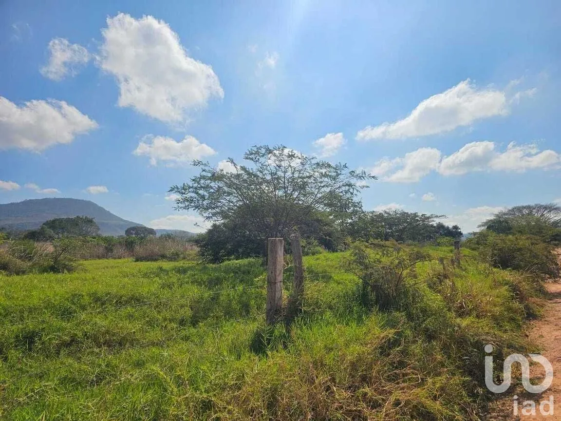 Terreno en Venta en Ocozocoautla de Espinosa Centro, Ocozocoautla de Espinosa, Chiapas | NEX-270428 | iad México | Foto 8 de 8