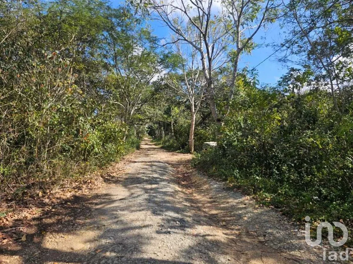 Terreno en Venta en Tuxtla Gutiérrez (Francisco Sarabia), Ocozocoautla de Espinosa, Chiapas | NEX-270429 | iad México | Foto 6 de 9